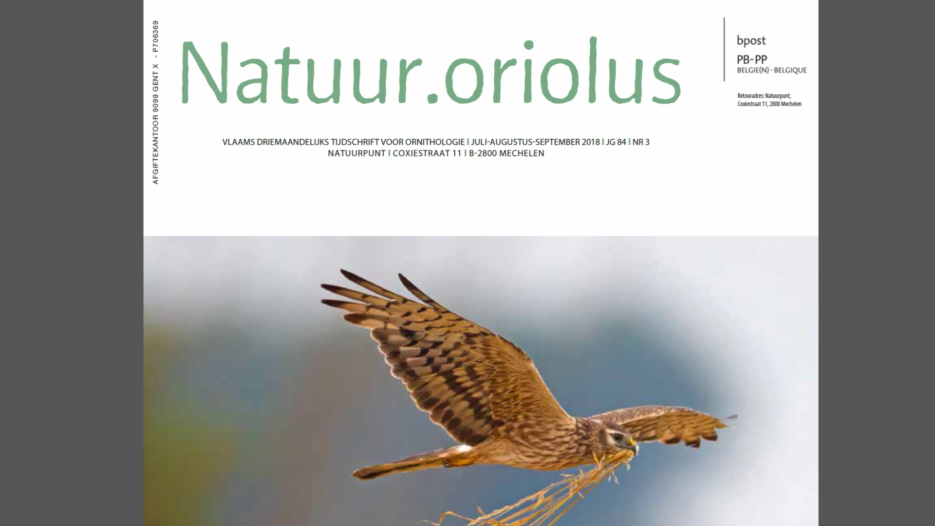 Natuur.Oriolus Akkervogels (2018)